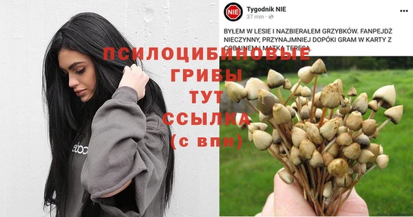 метадон Алзамай