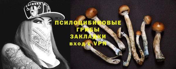 сатива Алексеевка
