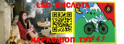 прущие грибы Гусь-Хрустальный