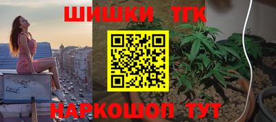 гашик Гусев