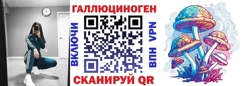 Псилоцибиновые грибы Psilocybine cubensis  Муравленко 